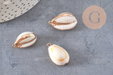 Pendentif coquillage naturel doré, pendentif doré, coquillage Conch bijou, coquillage naturel, 23mm, x1 G0890