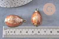 Pendentif coquillage naturel doré, pendentif doré, création bijoux, coquillage Conch bijou, coquillage naturel, 28mm (G0878)