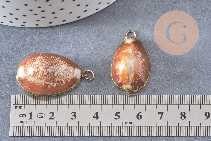 Pendentif coquillage naturel doré, pendentif doré, création bijoux, coquillage Conch bijou, coquillage naturel, 28mm (G0878)