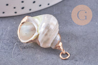 Pendentif coquillage naturel fer doré 25-30mm, x1 (G10699)