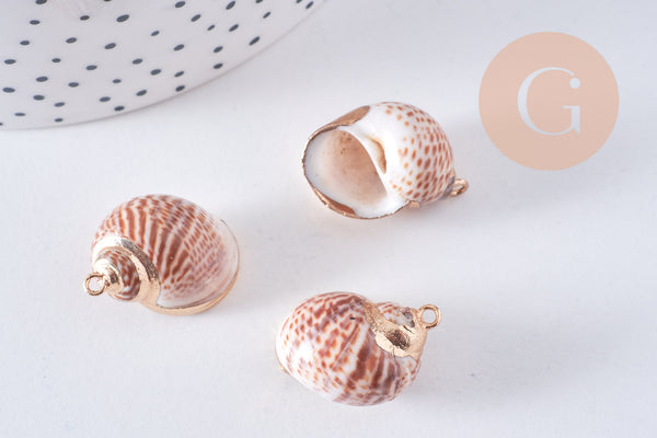 Pendentif coquillage naturel laiton doré 25-30mm, x1 (G0708)