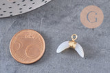 Pendentif corne jade gris naturel 21mm, croissant jade,pendentif pierre,jade naturel, x1 (G2799)