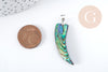 Pendentif dent nacre noire naturelle abalone laiton argenté 39-55mm, pendentif coquillage noir Ormeau, x1 (G8905)