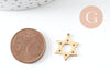 Pendentif étoile David acier 304 inoxydable doré PVD 18K 17mm, x1 (G9823)