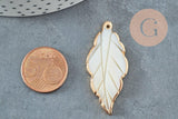 Pendentif feuille nacre naturelle support doré 34-45mm, x1 (G3116)