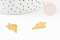 Pendentif feuilles laiton doré 18K 23mm,breloque laiton feuille arbre, x5 (G3568)