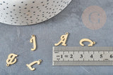 Pendentif lettre initiale acier inoxydable doré 13.5mm, x1 (G4301)