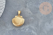Ciondolo medaglione a conchiglia in acciaio con rivestimento IP color oro 18K, 23.5mm,x1 (G4552)