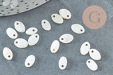 Pendentif ovale nacre blanche naturelle,perle ovale, coquillage blanc,8mm,x20 (G4152)