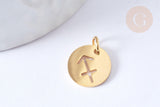 Pendentif rond constellation acier 304 inoxydable doré IP 12x1mm, x1 (G7506)