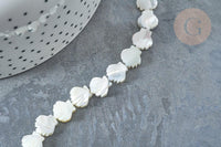 Perle Saint-Jacques nacre blanche naturelle 9,5~10mm, coquillage naturel, fil de 42cm, x1 (G7839)