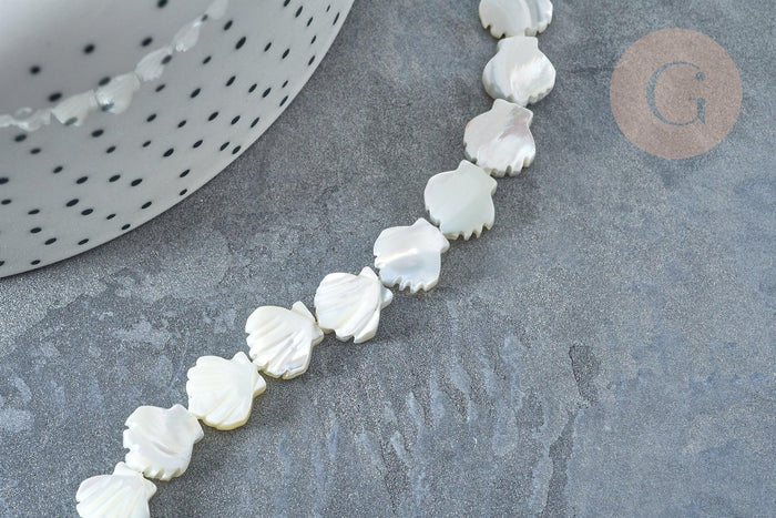 Perle Saint-Jacques nacre blanche naturelle 9,5~10mm, coquillage naturel, fil de 42cm, x1 (G7839)