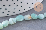 Perle amazonite turquoise, amazonite naturelle, perle pierre, 10mm, fil de 46 perles x1 (G2793)