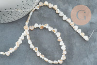 Perle coeur nacre blanche naturelle 6mm ,perle coeur nacre,coquillage blanc, fil de 39cm, x1 (G5862)