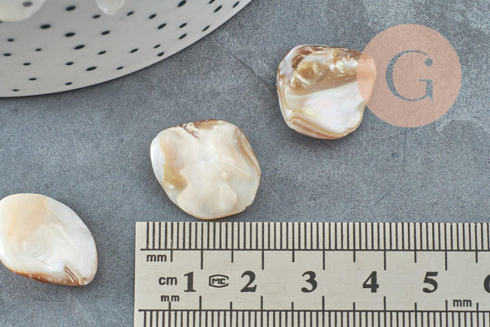 Perle coquillage naturel nacre nugget 18-22mm,x5 (G2650)