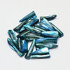 Perle dent coquillage naturel bleu 22-35mm, x10 (G5901)