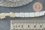 Perle nacre blanche naturelle carrée, coquillage blanc, 8-9mm,le fil de 40cm, x1 (G3873)