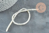 Perle nacre blanche naturelle heishi,tube coquillage ivoire,3x5mm, le fil 20cm, x1 (G4140)