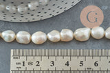 Perle naturelle blanche eau douce, 8-9mm, x1 fil de 33cm (G2433)