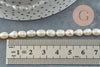 Perle naturelle blanche grain de riz 5-7mm grade A, x1 fil de 18cm (G6832)
