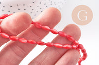 Perle ovale nacre, perles coquillage,grain de riz,coquillage naturel,fil 50 perles (G0982)