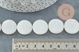 Perle rond nacre blanche naturelle 20mm, coquillage blanc, fil de 40cm, x1 (G5582)