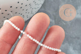 Perle ronde nacre coquillage blanc 2mm, x1 fil de 39cm (G5590)