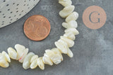 Perles chips coquillage nacre naturelle beige 8-14mm, x1 fil 80cm (G5742)