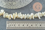 Perles chips coquillage nacre naturelle beige 8-14mm, x1 fil 80cm (G5742)