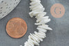 Perles chips coquillage naturel 6~12mm, x1 fil de 41cm (G3867)