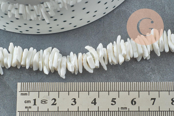 Perles chips coquillage naturel 6~12mm, x1 fil de 41cm (G3867)
