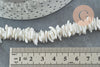 Perles chips coquillage naturel 6~12mm, x1 fil de 41cm (G3867)