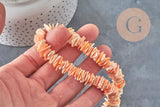 Perles chips coquillage naturel coloré 10-20mm, x1 fil de 38cm (G4074)