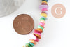 Perles chips coquillage naturel teinté multicolore 5-9mm,création bijoux plage coquillage,le fil de 29cm x1 (G9507)