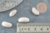 Perles coquillage naturel bisque beige 13-18mm, x10 (G0649)