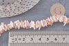 Perles coquillage naturel, chips coquillages, rose clair, 10mm, fil de 42 cm, x1 (G3849)