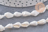Perles coquillage naturel percés blanc, x1 fil de 135 (G7987)