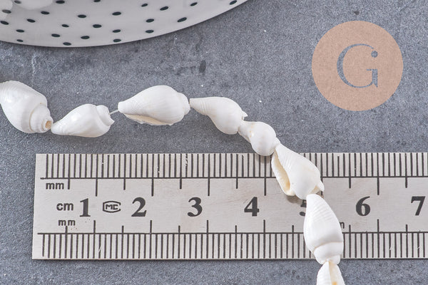 Perles coquillage naturel percés blanc, x1 fil de 135cm (G7987)