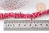 Perles coquillage naturel rose 8-28mm, fil de 75cm x1 (G1029)