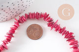 Perles coquillage naturel rose 8-28mm, x1 fil de 75cm (G1029)