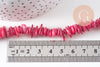 Perles coquillage naturel rose 8-28mm, x1 fil de 75cm (G1029)