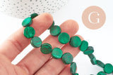 Perles disque coco vert, bois naturel,perle bois,Perle géométrique, perle ronde bois,25mm, le fil de 33 perles , x1 (G0004)