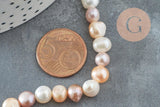 Perles eau douce naturelle "pomme de terre" pastel 6-7mm, x1 fil de 37cm (G1938)