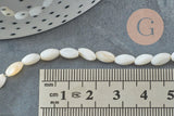 Perles grain de riz nacre naturelle blanche 8mm, x1 fil de 38cm (G0770)