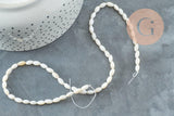 Perles grain de riz nacre naturelle blanche 8mm, x1 fil de 38cm (G0770)