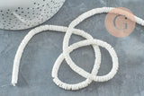 Perles heishi coquillage naturel blanc 5.5-6mm x1 fil de 60cm (G0191)
