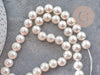 Perles rondes coquillage naturel blanche nacrées 8mm, x1 fil de 40cm (G9058)