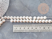 Perles rondes coquillage naturel blanche nacrées 8mm, x1 fil de 40cm (G9058)