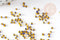 Petite Perle rocaille rayé jaune bleu,perle rocaille multicolore,perle multicolore,perle africaine,1.5x2mm, x 10gr (G2929)