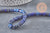 Perles heishi jaspe imperial bleu, x1 fil de 40cm (G5531)